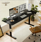 Electric Height Adjustable Standing Desk 55" Black